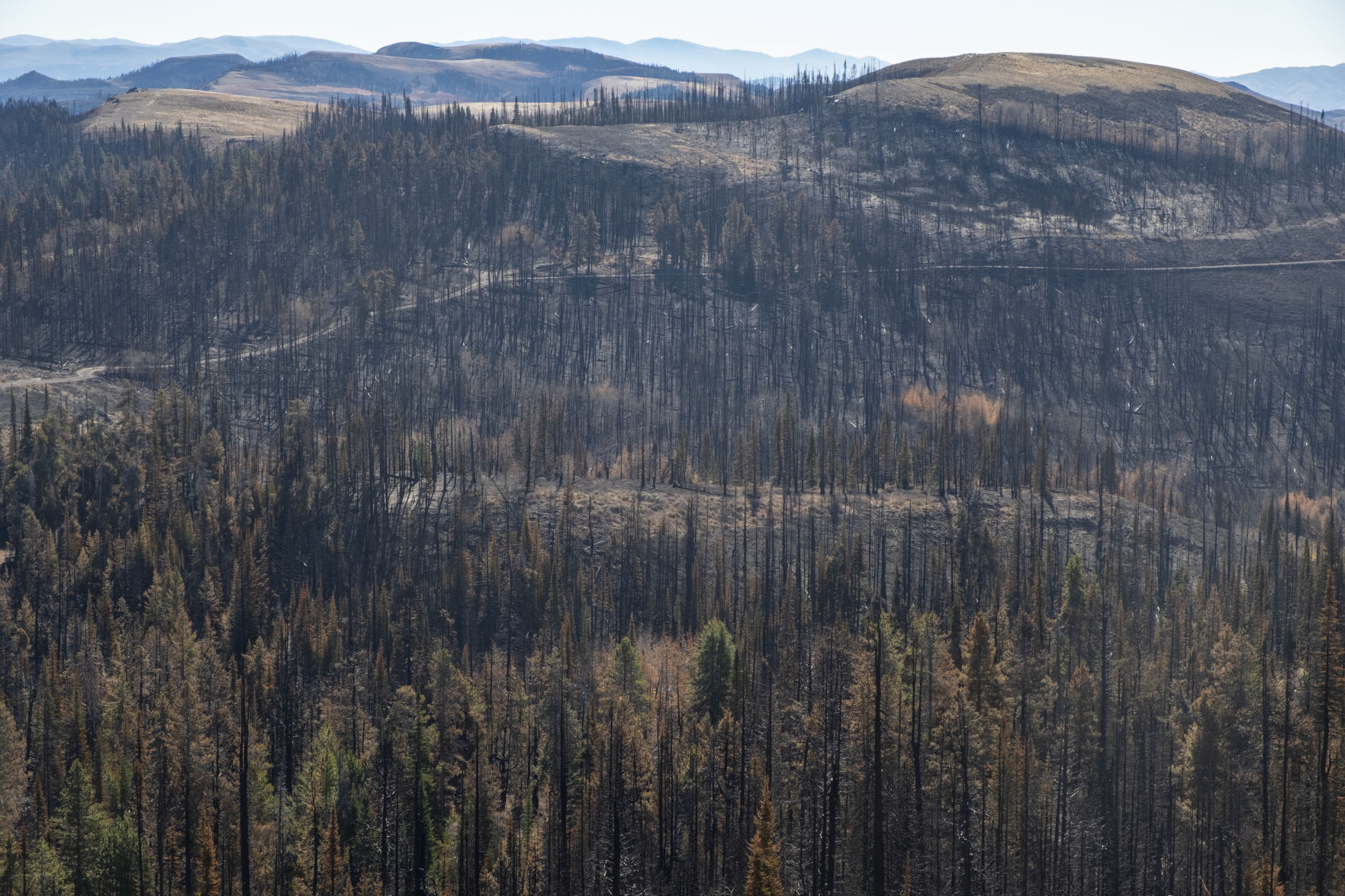 Badger Fire damage south end